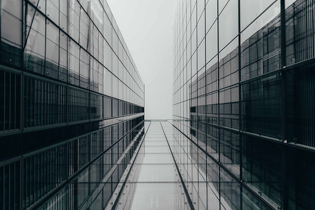 Image by Jakob Braun