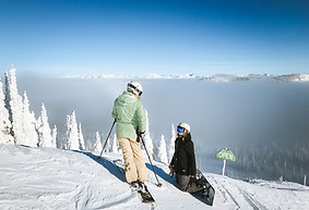 whitefish