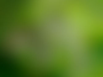 Experiencing the Climate Crisis as a MilTeen