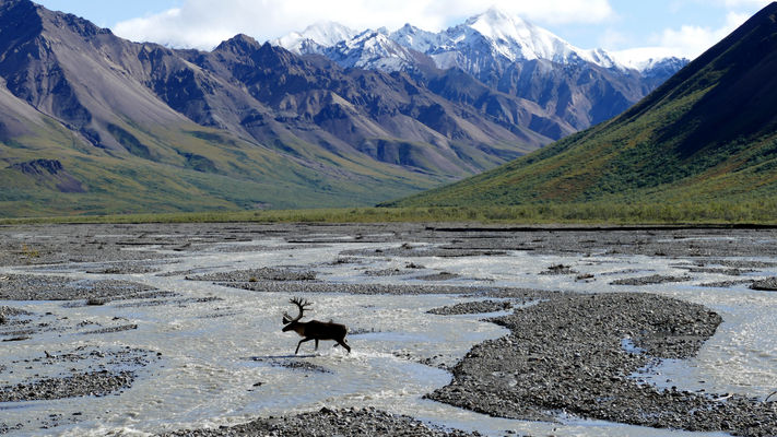 Lugares que ver en Alaska