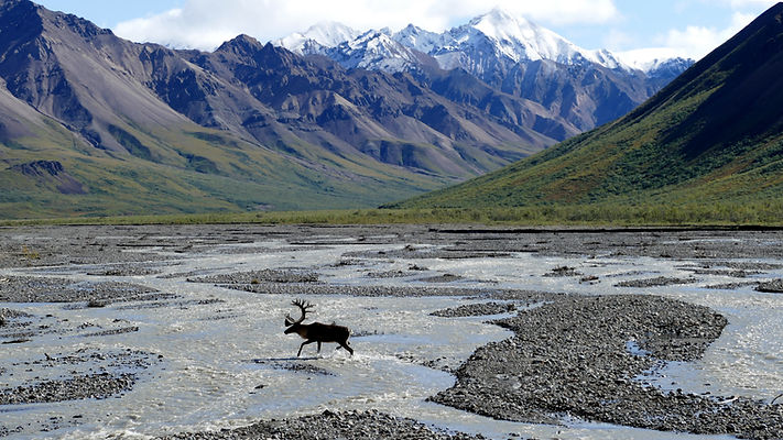 Lugares que ver en Alaska
