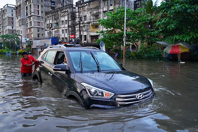 Image by Dibakar Roy