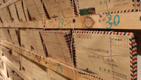 Bring Back "Snail Mail"