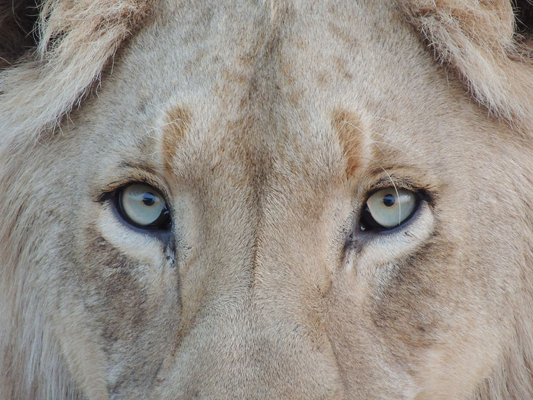 Image de Corentin Marzin