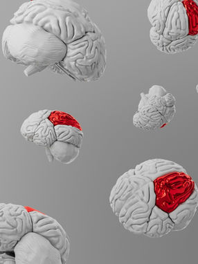 DEBUNKED: Do We Really Only Use 10% of Our Brains?