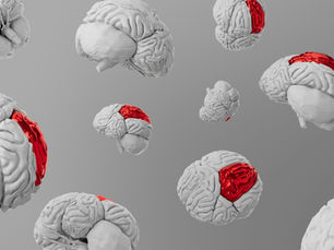 Concussions, Repeated Head Injuries, and Long-Term Brain Health: What Every Family, Athlete, Veteran, and First Responder Should Know
