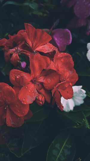 Image by m