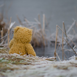 Image by Kasia