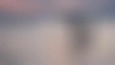 Beat the Summer Heat: Maximize Your July + August in Charleston