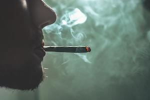 Image by GRAS GRÜN