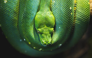 Image by Sebastian Spindler