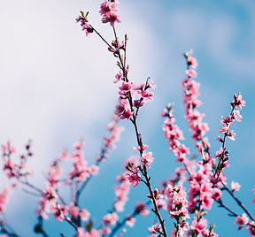 Image by Nagy Arnold