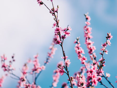 Healing the Heart: Counselling as a Path to Spiritual Purity in Islam