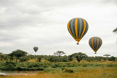 Image by Tanzania Wild Sky