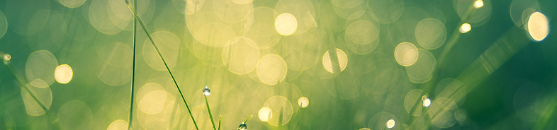 Link to ISO 14001 environmental blog posts