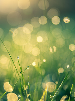 Image by Johannes Plenio