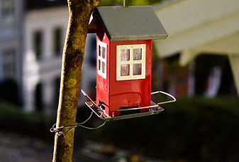 Image by Lachlan Gowen