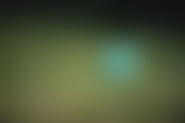 A vos projets... écologiques