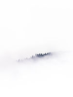 Image by Mads Schmidt Rasmussen