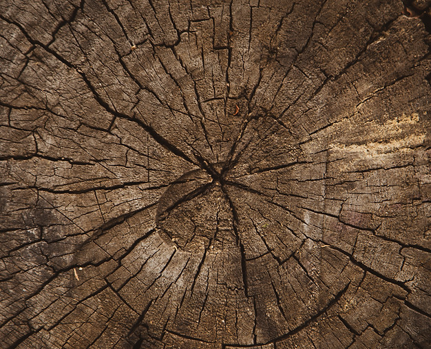 Image by Volodymyr Hryshchenko