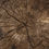 Thumbnail: Brown Sugar Bourbon - Cold Processed Soap