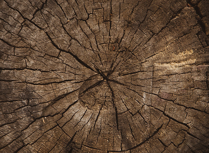 Image by Volodymyr Hryshchenko