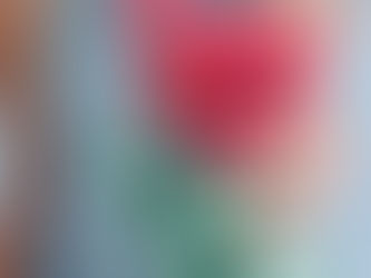 Radieschen – Frisch, knackig und voller Power vom Wochenmarkt