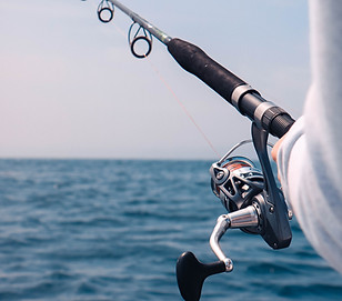 Fishing rod