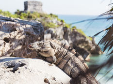 How to visit the archaeological zone of Tulum, Mexico