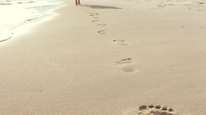 Walk in the Spirit