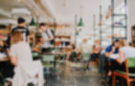 Restaurant and cafe pest control