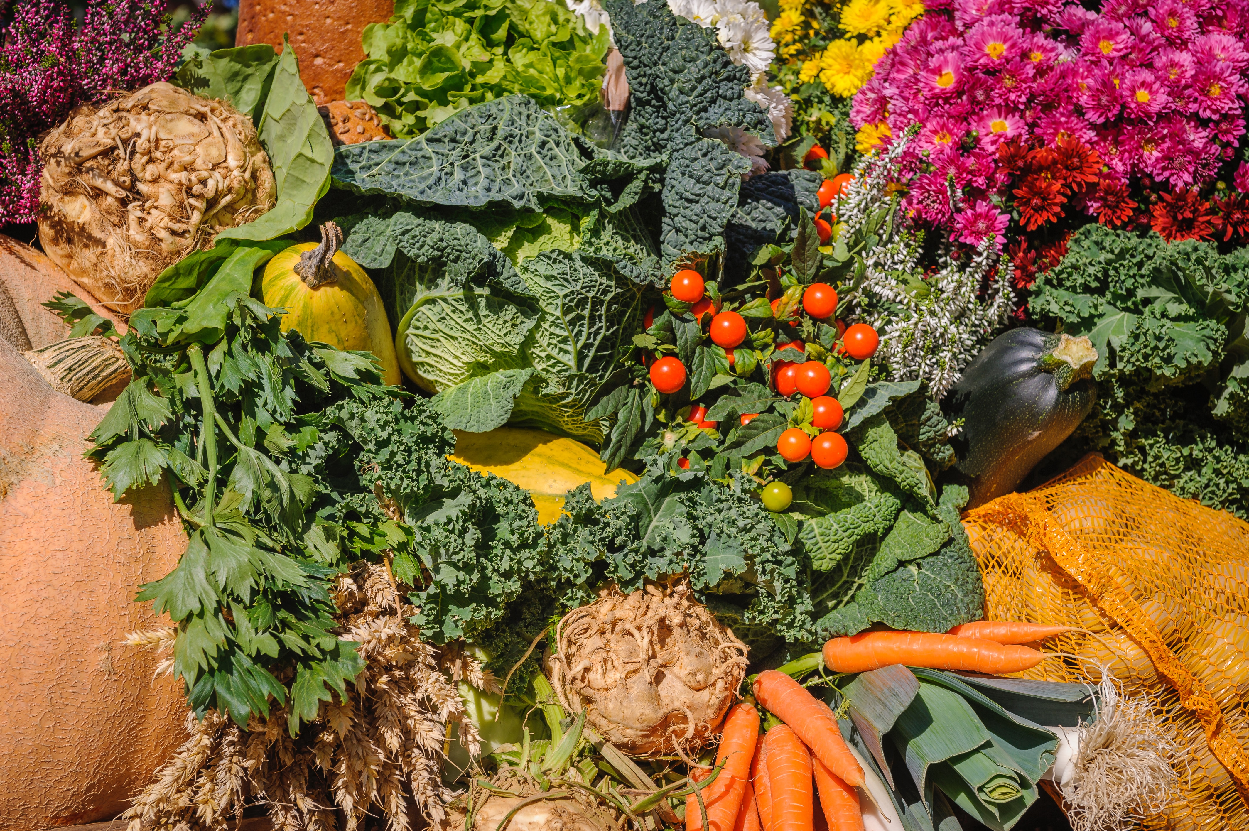 AGRICULTURE & FOOD