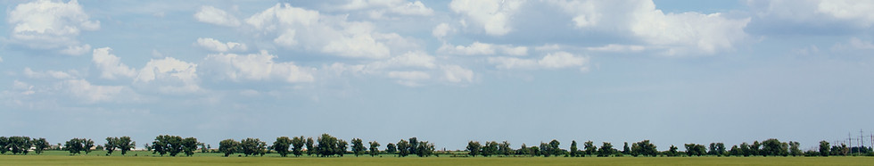 Image de Rodion Kutsaiev