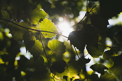 Image by Kai Pilger