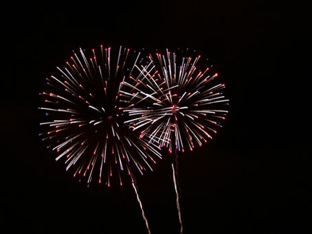 Fear of Fireworks? Help your Dog overcome it.