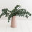 Thumbnail: Eucalyptus Globulus