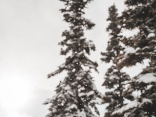 Houdini's New Store: Can It Change The Outdoor Industry?