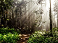 Image by Dale Nibbe