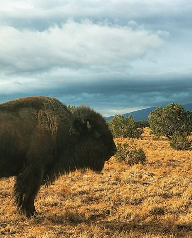 Image by Eric Murray
