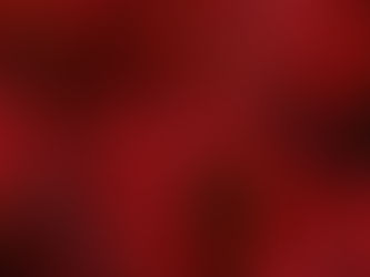 7 Steps to Stability: The Root Chakra