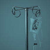 Image by Marcelo Leal