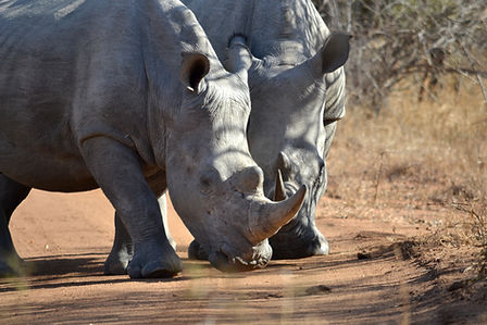 Image by Simon Greenwood