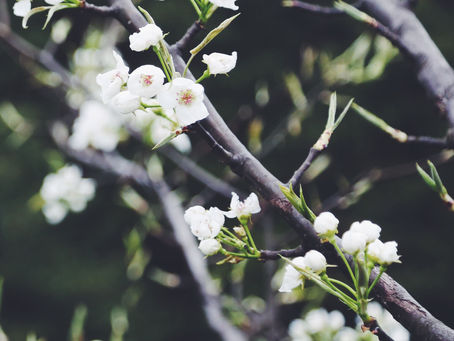 March Prayer Focus - Week 1