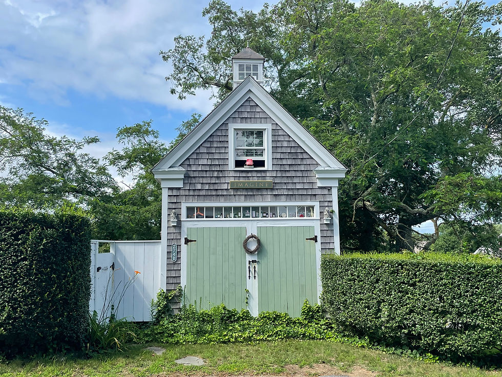 Image by Omri D. Cohen