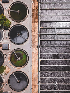 Image by Ivan Bandura