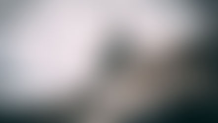 Congress Reopens Government After 40 Days — But Democrats Walk Away With Their Demands While America Pays the Price