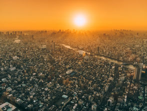 Essential Health Outcomes and Data Points for Informing Extreme Heat Work