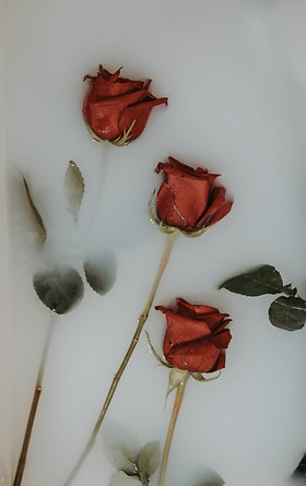 Image by Juliana Araujo the artist