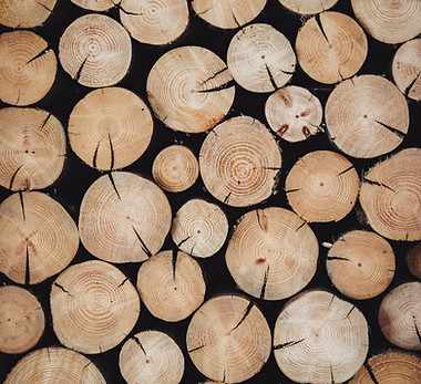 Image by Alexandre Jaquetoni