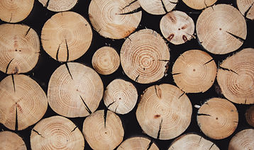 Image by Alexandre Jaquetoni